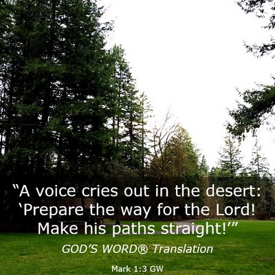 Picture 03 - Mark 1:3 GW - “A voice cries out in the desert: ‘Prepare - Bible Verse Picture