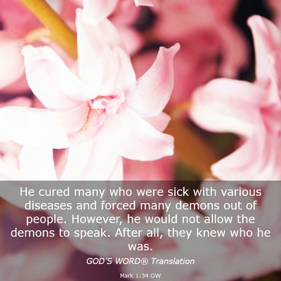 Picture 03 - Mark 1:34 GW - He cured many who were sick with various diseases - Bible Verse Picture