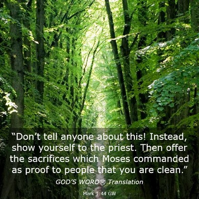 Picture 03 - Mark 1:44 GW - “Don’t tell anyone about this! Instead, show - Bible Verse Picture