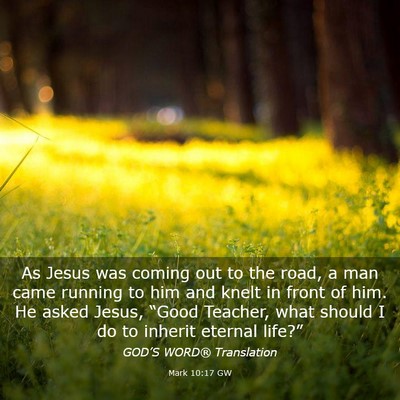 Picture 03 - Mark 10:17 GW - As Jesus was coming out to the road, a man came - Bible Verse Picture