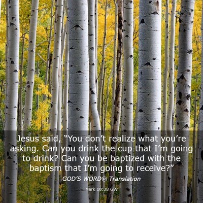 Picture 03 - Mark 10:38 GW - Jesus said, “You don’t realize what you’re - Bible Verse Picture