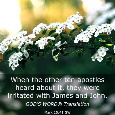 Picture 03 - Mark 10:41 GW - When the other ten apostles heard about it, they - Bible Verse Picture