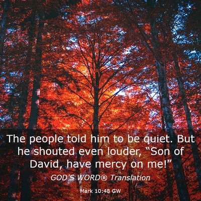 Picture 03 - Mark 10:48 GW - The people told him to be quiet. But he shouted - Bible Verse Picture