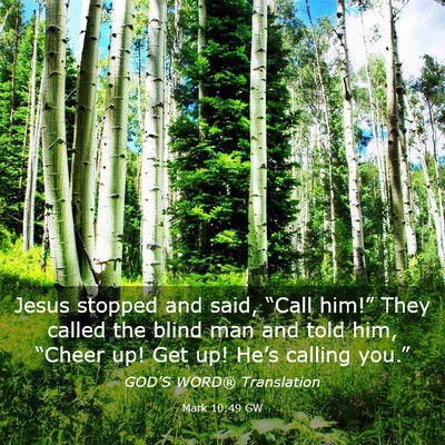 Picture 03 - Mark 10:49 GW - Jesus stopped and said, “Call him!” They - Bible Verse Picture