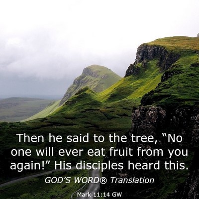 Picture 03 - Mark 11:14 GW - Then he said to the tree, “No one will ever eat - Bible Verse Picture