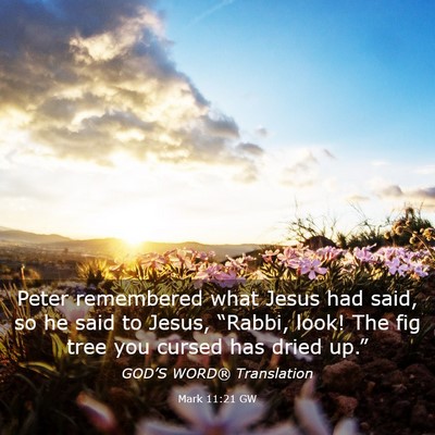 Picture 03 - Mark 11:21 GW - Peter remembered what Jesus had said, so he said - Bible Verse Picture