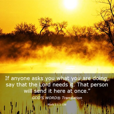 Picture 03 - Mark 11:3 GW - If anyone asks you what you are doing, say that - Bible Verse Picture
