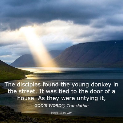 Picture 03 - Mark 11:4 GW - The disciples found the young donkey in the - Bible Verse Picture