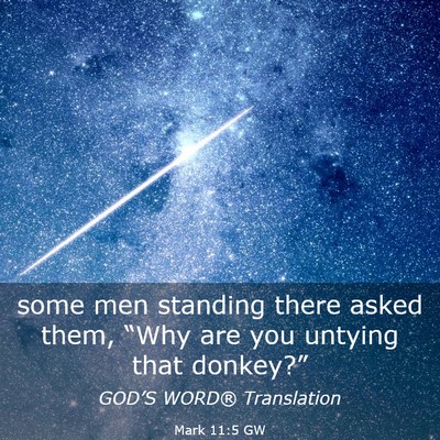 Picture 03 - Mark 11:5 GW - some men standing there asked them, “Why are - Bible Verse Picture