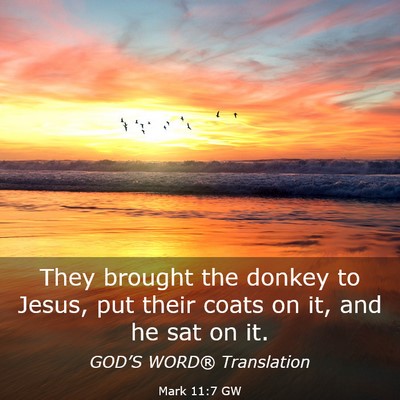 Picture 03 - Mark 11:7 GW - They brought the donkey to Jesus, put their coats - Bible Verse Picture