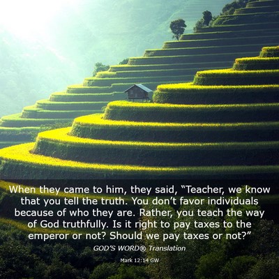 Picture 03 - Mark 12:14 GW - When they came to him, they said, “Teacher, we - Bible Verse Picture