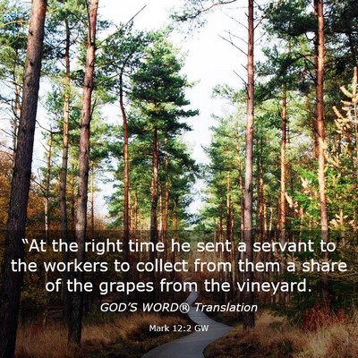 Picture 03 - Mark 12:2 GW - “At the right time he sent a servant to the - Bible Verse Picture