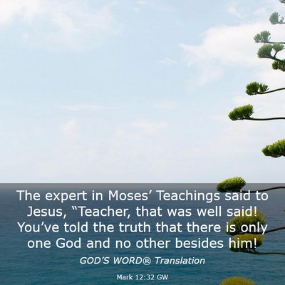 Picture 03 - Mark 12:32 GW - The expert in Moses’ Teachings said to Jesus, - Bible Verse Picture