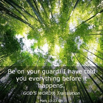 Picture 03 - Mark 13:23 GW - Be on your guard! I have told you everything - Bible Verse Picture