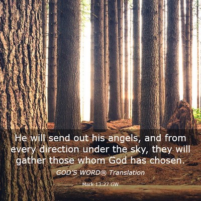 Picture 03 - Mark 13:27 GW - He will send out his angels, and from every - Bible Verse Picture