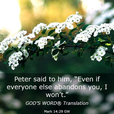 Picture 03 - Mark 14:29 GW - Peter said to him, “Even if everyone else - Bible Verse Picture