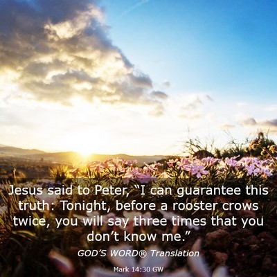 Picture 03 - Mark 14:30 GW - Jesus said to Peter, “I can guarantee this - Bible Verse Picture
