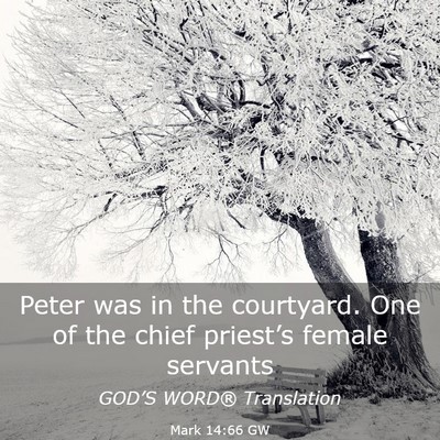Picture 03 - Mark 14:66 GW - Peter was in the courtyard. One of the chief - Bible Verse Picture