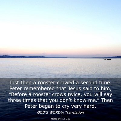 Picture 03 - Mark 14:72 GW - Just then a rooster crowed a second time. Peter - Bible Verse Picture