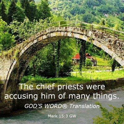 Picture 03 - Mark 15:3 GW - The chief priests were accusing him of many - Bible Verse Picture