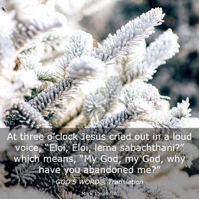 Picture 03 - Mark 15:34 GW - At three o’clock Jesus cried out in a loud - Bible Verse Picture