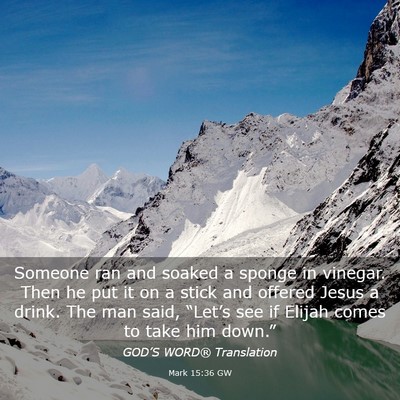 Picture 03 - Mark 15:36 GW - Someone ran and soaked a sponge in vinegar. Then - Bible Verse Picture