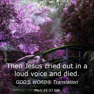 Picture 03 - Mark 15:37 GW - Then Jesus cried out in a loud voice and - Bible Verse Picture