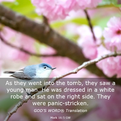 Picture 03 - Mark 16:5 GW - As they went into the tomb, they saw a young man. - Bible Verse Picture
