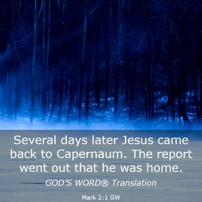 Picture 03 - Mark 2:1 GW - Several days later Jesus came back to Capernaum. - Bible Verse Picture