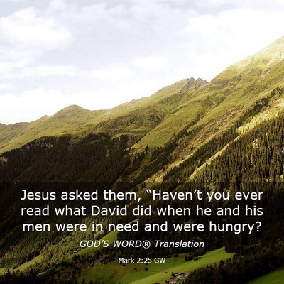 Picture 03 - Mark 2:25 GW - Jesus asked them, “Haven’t you ever read what - Bible Verse Picture