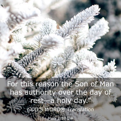 Picture 03 - Mark 2:28 GW - For this reason the Son of Man has authority over - Bible Verse Picture