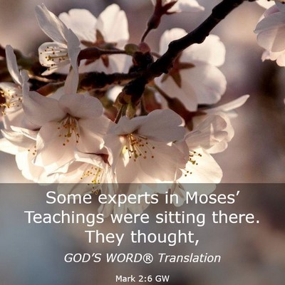 Picture 03 - Mark 2:6 GW - Some experts in Moses’ Teachings were sitting - Bible Verse Picture