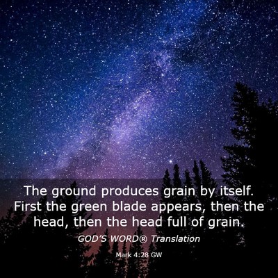 Picture 03 - Mark 4:28 GW - The ground produces grain by itself. First the - Bible Verse Picture