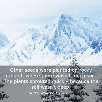 Picture 03 - Mark 4:5 GW - Other seeds were planted on rocky ground, where - Bible Verse Picture