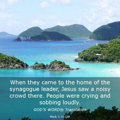 Picture 03 - Mark 5:38 GW - When they came to the home of the synagogue - Bible Verse Picture