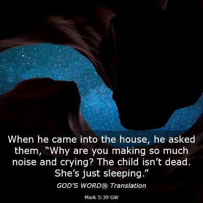 Picture 03 - Mark 5:39 GW - When he came into the house, he asked them, - Bible Verse Picture