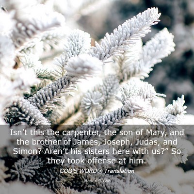 Picture 03 - Mark 6:3 GW - Isn’t this the carpenter, the son of Mary, and - Bible Verse Picture