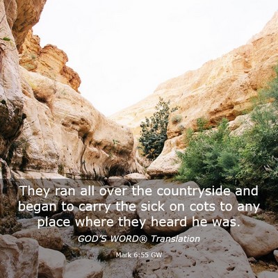 Picture 03 - Mark 6:55 GW - They ran all over the countryside and began to - Bible Verse Picture