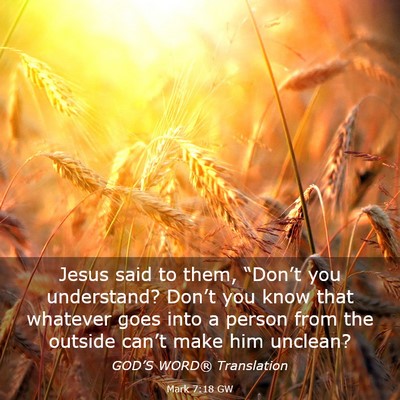 Picture 03 - Mark 7:18 GW - Jesus said to them, “Don’t you understand? - Bible Verse Picture