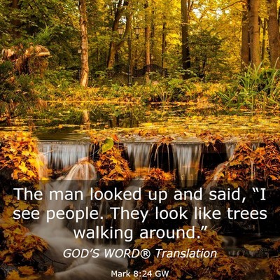 Picture 03 - Mark 8:24 GW - The man looked up and said, “I see people. They - Bible Verse Picture