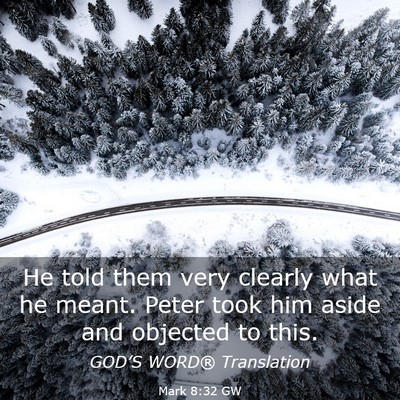 Picture 03 - Mark 8:32 GW - He told them very clearly what he meant. Peter - Bible Verse Picture