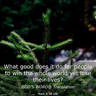 Picture 03 - Mark 8:36 GW - What good does it do for people to win the whole - Bible Verse Picture