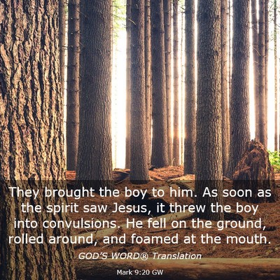 Picture 03 - Mark 9:20 GW - They brought the boy to him. As soon as the - Bible Verse Picture