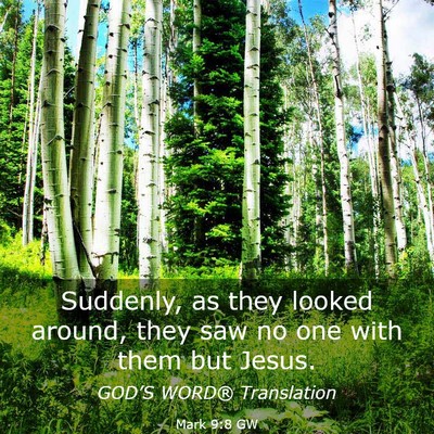 Picture 03 - Mark 9:8 GW - Suddenly, as they looked around, they saw no one - Bible Verse Picture