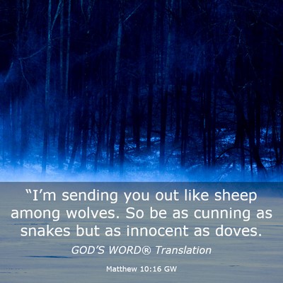 Picture 03 - Matthew 10:16 GW - “I’m sending you out like sheep among wolves. - Bible Verse Picture