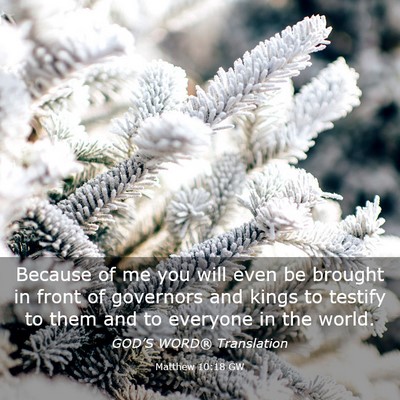 Picture 03 - Matthew 10:18 GW - Because of me you will even be brought in front - Bible Verse Picture