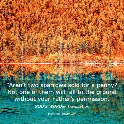 Picture 03 - Matthew 10:29 GW - “Aren’t two sparrows sold for a penny? Not - Bible Verse Picture