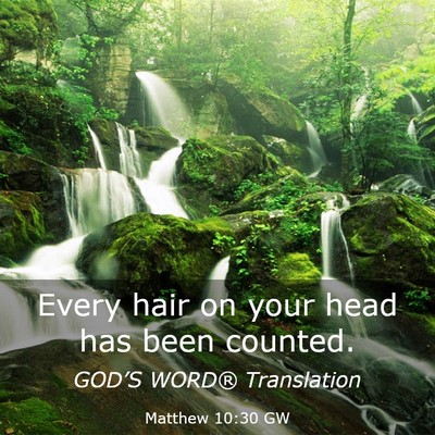 Picture 03 - Matthew 10:30 GW - Every hair on your head has been - Bible Verse Picture