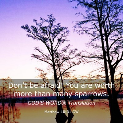 Picture 03 - Matthew 10:31 GW - Don’t be afraid! You are worth more than many - Bible Verse Picture