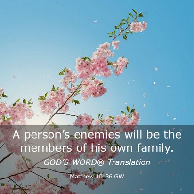 Picture 03 - Matthew 10:36 GW - A person’s enemies will be the members of his - Bible Verse Picture